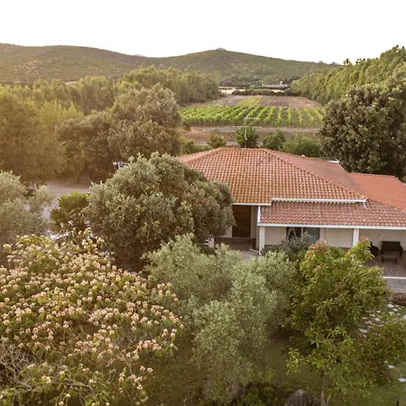 Bed & Breakfast The Vineyards Alghero