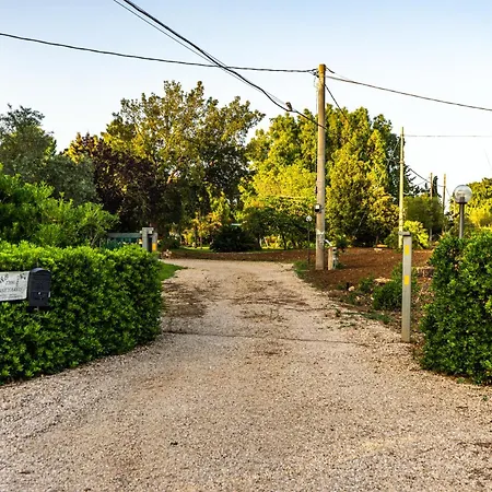 The Vineyards