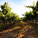 The Vineyards Bed & Breakfast Alghero
