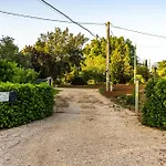 The Vineyards