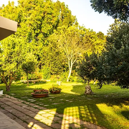 فندق مبيت وإفطار The Vineyards 3*