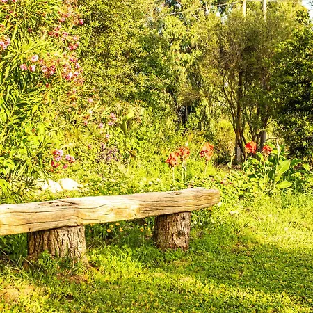فندق مبيت وإفطار The Vineyards ألغيرو