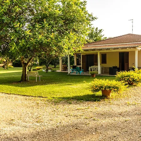 فندق مبيت وإفطار The Vineyards