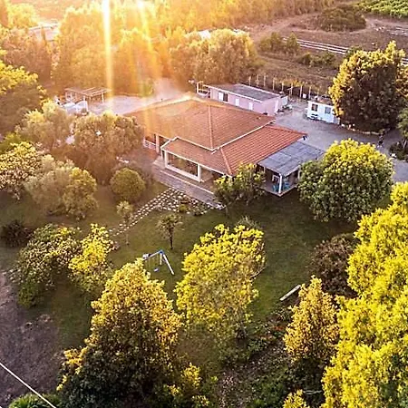 The Vineyards לינה וארוחת בוקר 3*