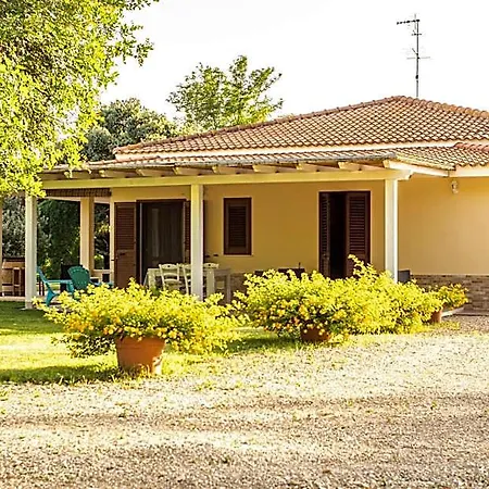 The Vineyards לינה וארוחת בוקר 3*
