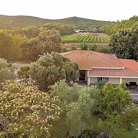 לינה וארוחת בוקר The Vineyards 3*