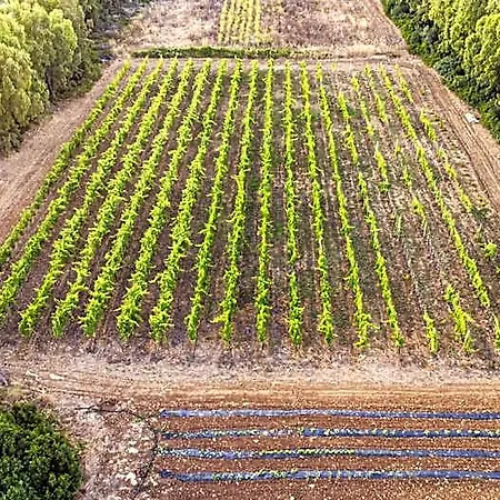 The Vineyards 3*