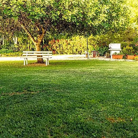 לינה וארוחת בוקר The Vineyards אלגהרו