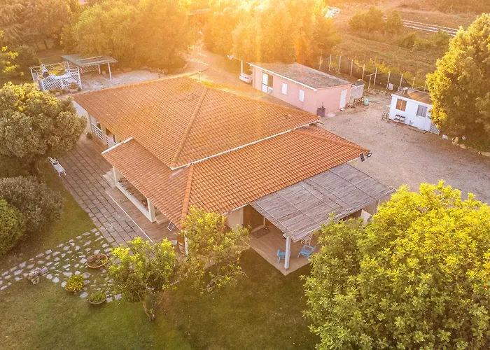 Bed & Breakfast The Vineyards 3*