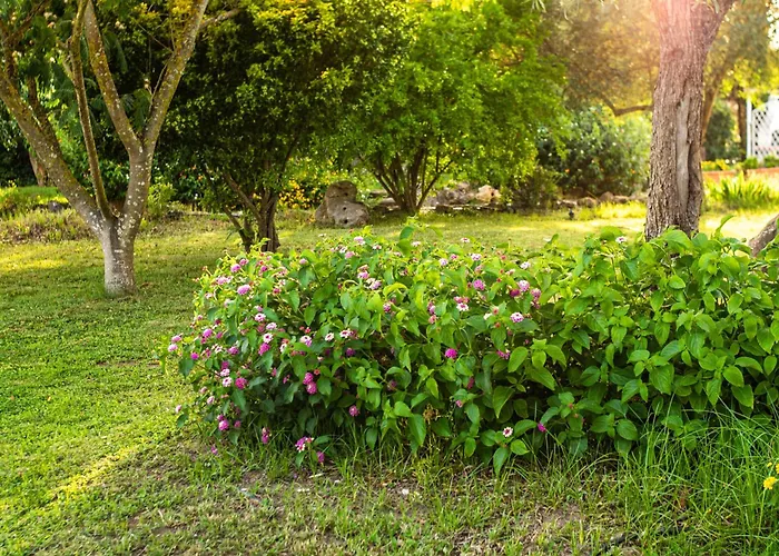 The Vineyards Alghero