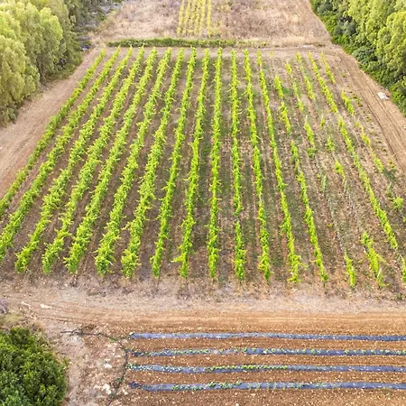 The Vineyards 3* 阿尔盖罗