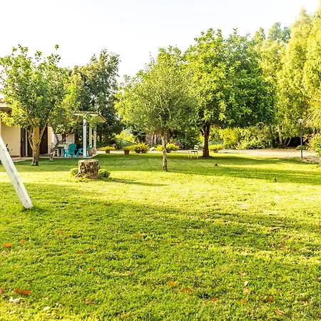 The Vineyards 3* 阿尔盖罗